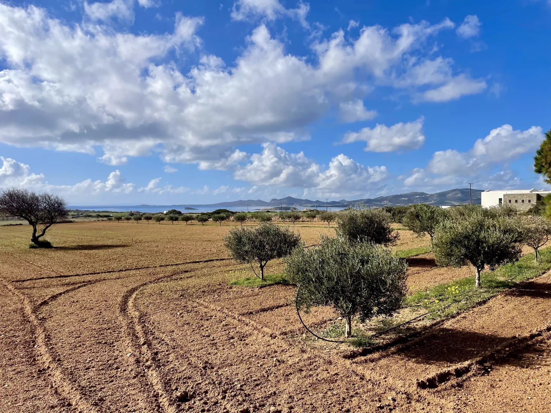 Charming Plot with Sea & Mountain Views – A Unique Opportunity - Image 1