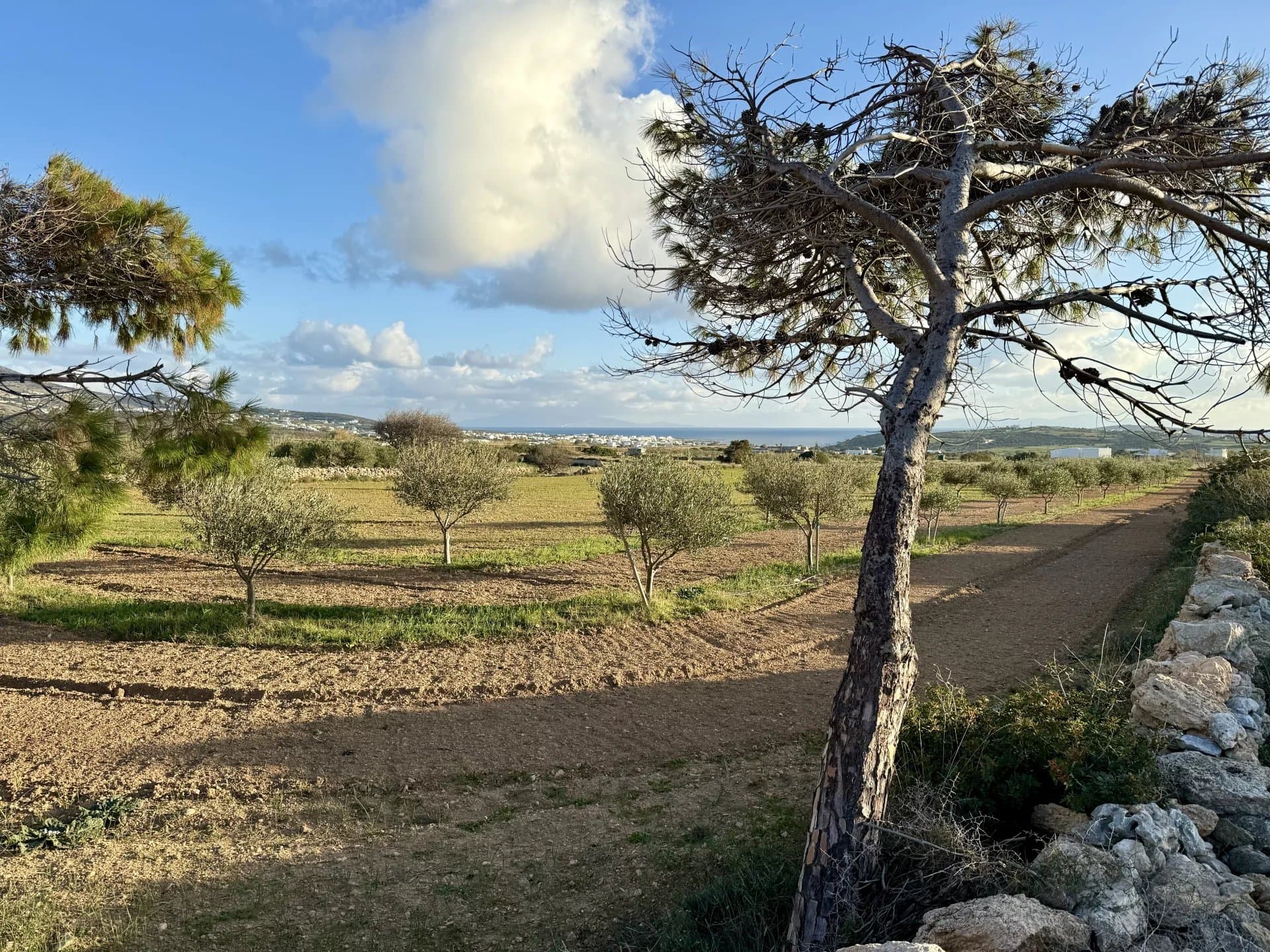 Charming Plot with Sea & Mountain Views – A Unique Opportunity - Image 2