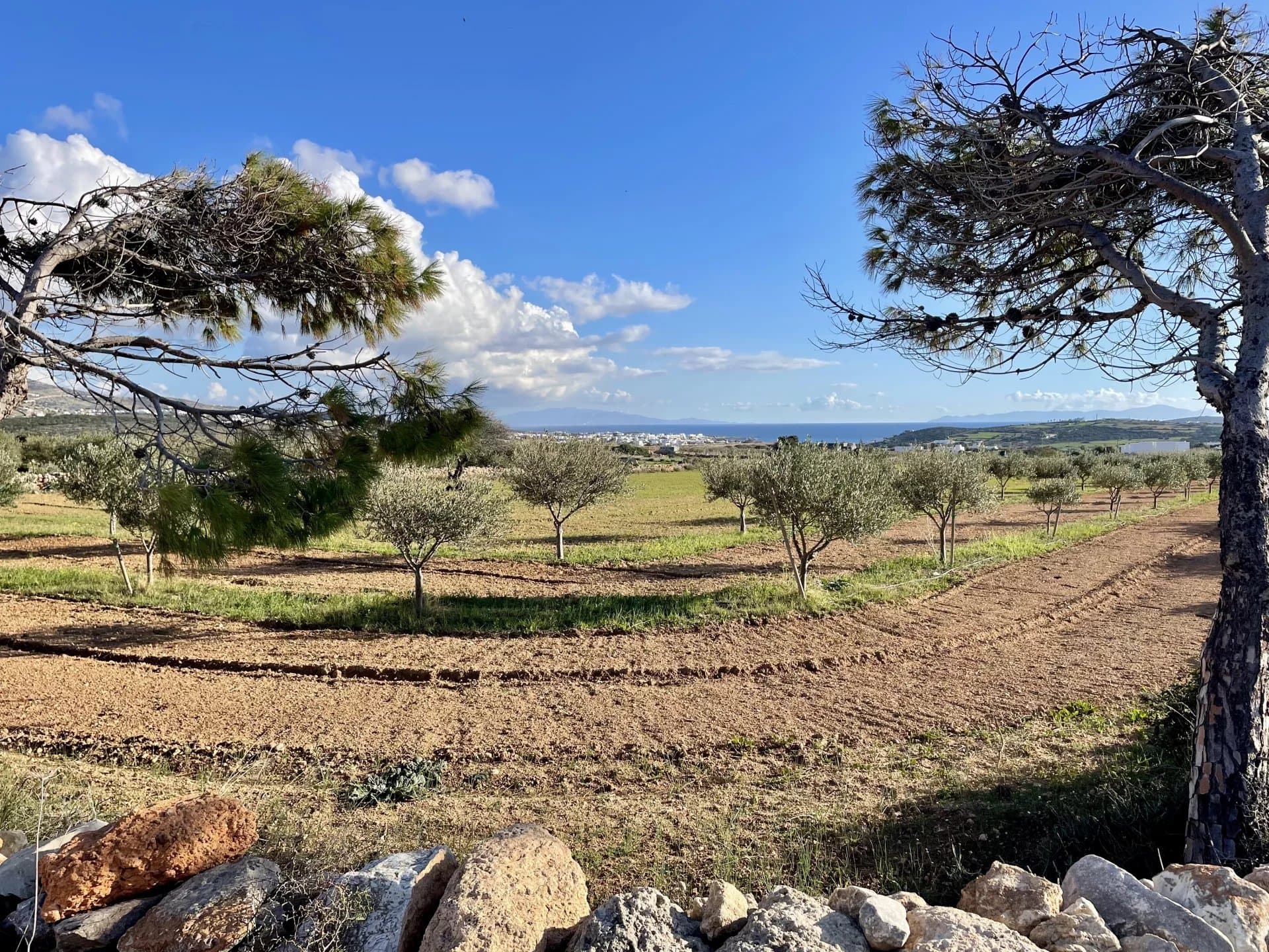 Charming Plot with Sea & Mountain Views – A Unique Opportunity - Image 6