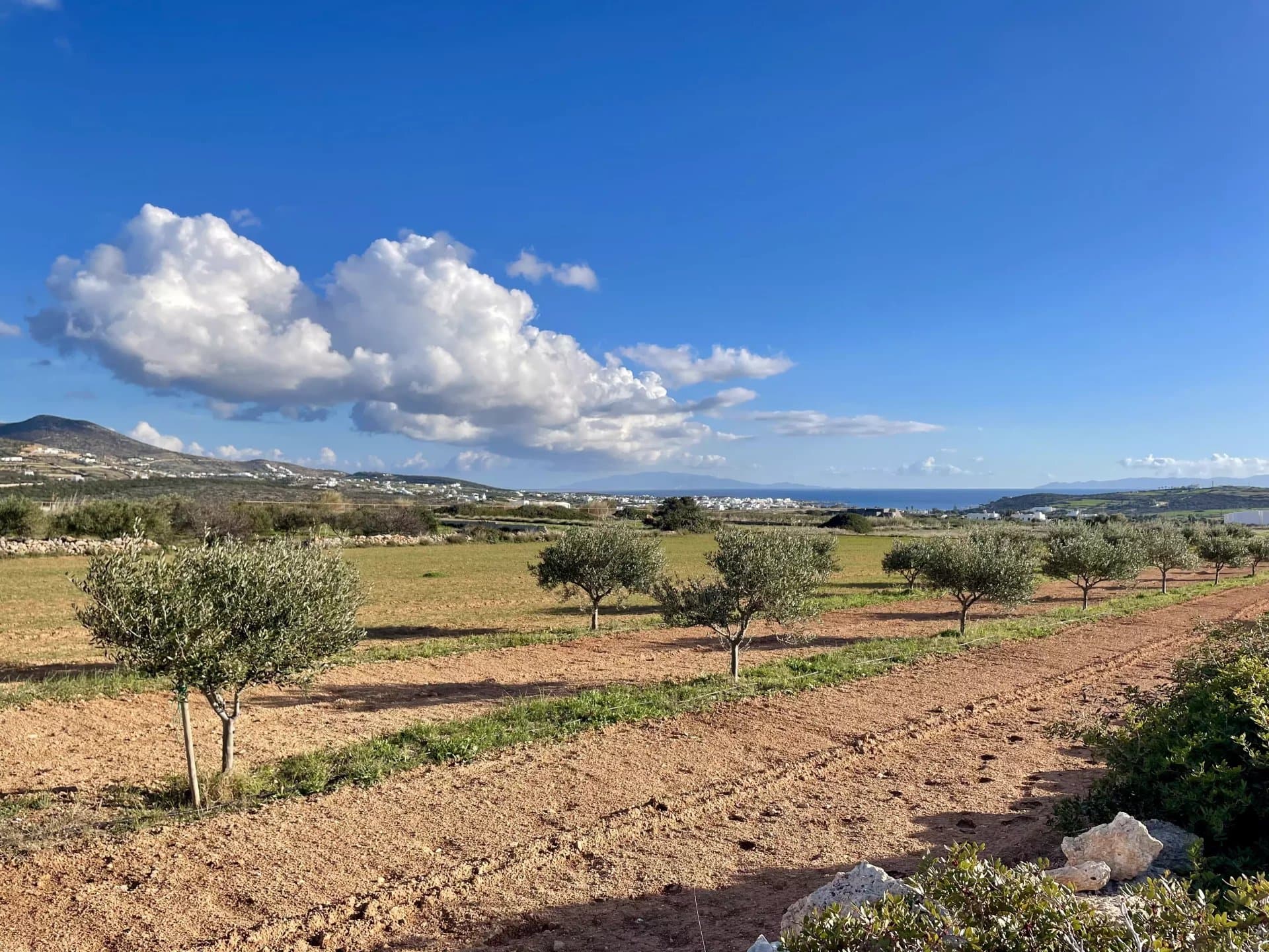 Charming Plot with Sea & Mountain Views – A Unique Opportunity - Image 7