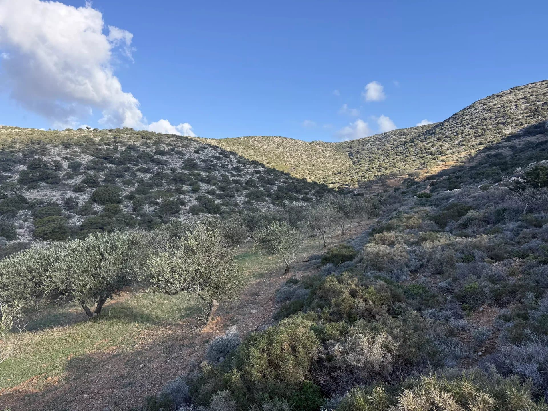 Exclusive Olive Grove Plot for Sale in Tranquil Agkairia – Build Your Paros Dream Retreat - Image 11