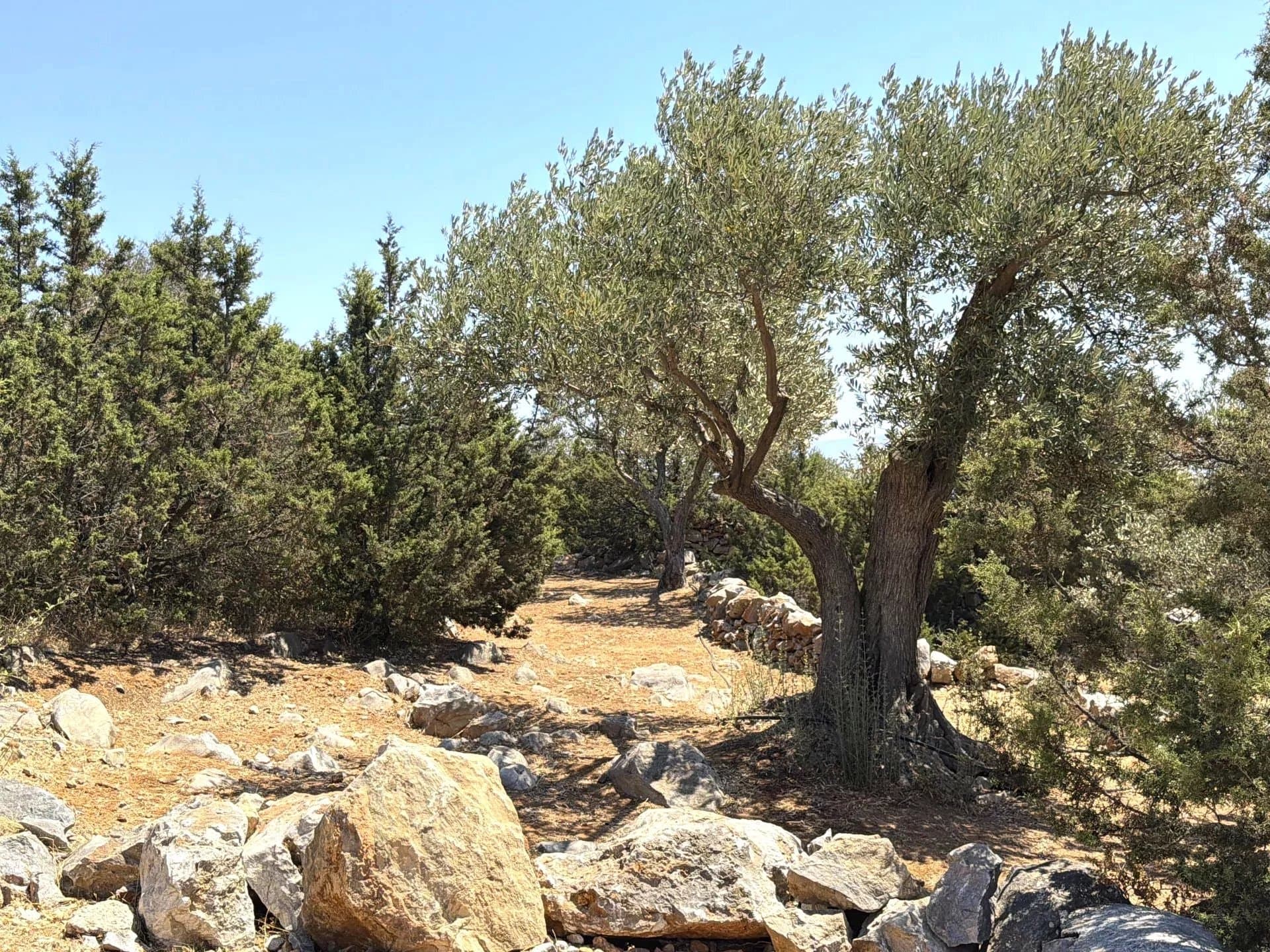 Authentic Cycladic Estate for Sale in Kostos, Paros – A Private Hamlet Overlooking the Aegean - Image 52