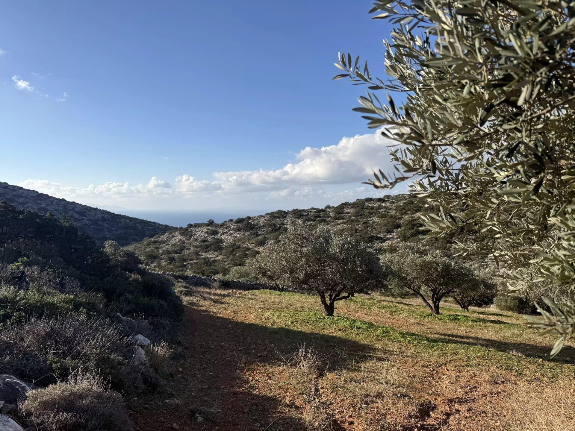 Exclusive Olive Grove Plot for Sale in Tranquil Agkairia – Build Your Paros Dream Retreat - Image 6